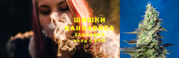 ГАЛЛЮЦИНОГЕННЫЕ ГРИБЫ Пересвет