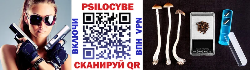 Псилоцибиновые грибы мицелий  где продают наркотики  Терек 